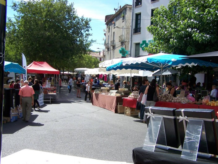 Location de vacances - Appartement à Le Vigan