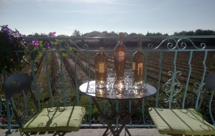 Location de vacances - Appartement à La Londe-les-Maures - mathusalem, jéroboam, nabuchodonosor, magnum ... ici c'est le pays du Rosé !!!