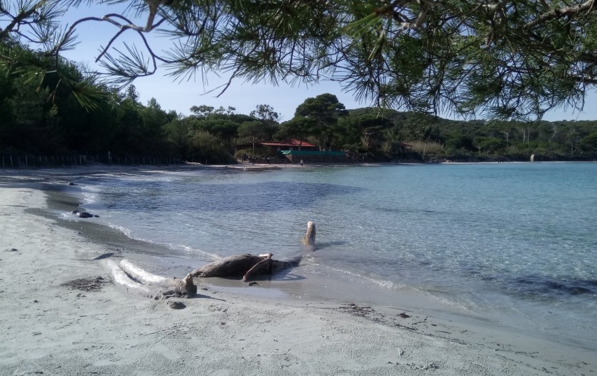 Location de vacances - Appartement à La Londe-les-Maures - sable blanc fin et mer turquoise ...