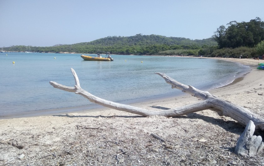 Location de vacances - Appartement à La Londe-les-Maures - LE PARADIS SUR TERRE ...