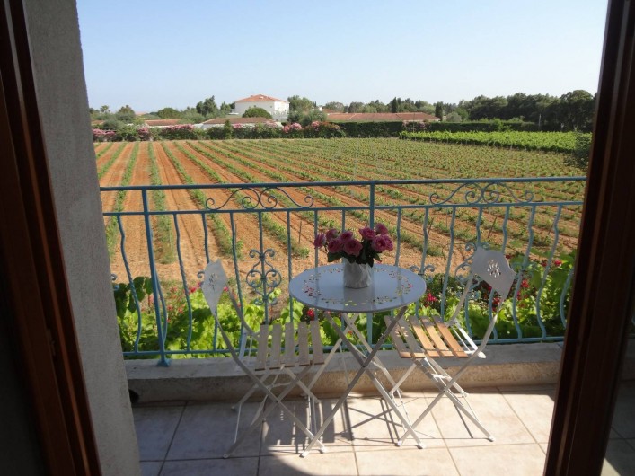 Location de vacances - Appartement à La Londe-les-Maures - balcon vue sud vignes et derrière les arbres , c'est la grande bleue la MER !!!