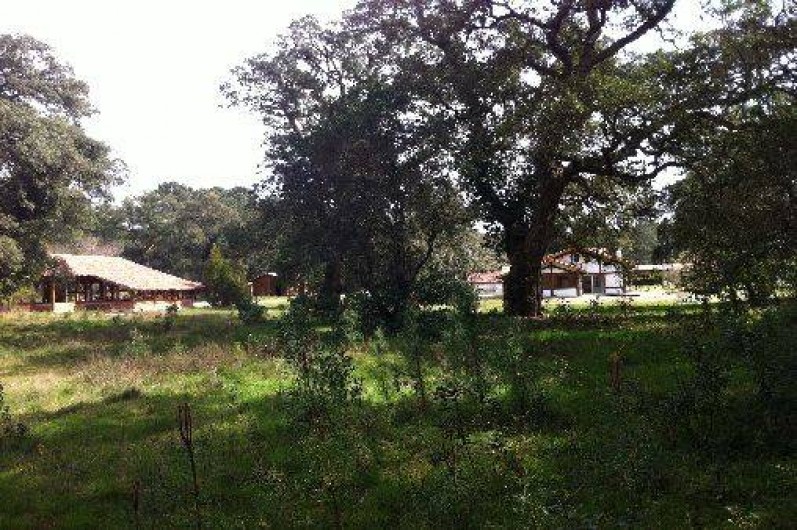 Location de vacances - Villa à Messanges