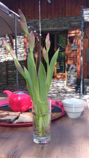 Location de vacances - Gîte à Saint-Christophe-en-Oisans