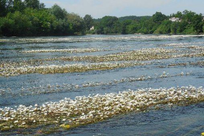 Location de vacances - Camping à Saint-Antoine-de-Breuilh