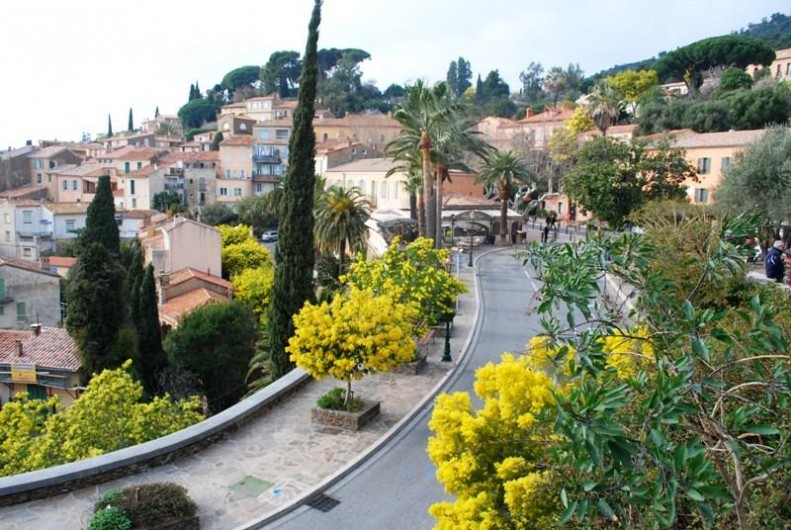 Location de vacances - Appartement à Bormes-les-Mimosas - Village de Bormes les mimosas