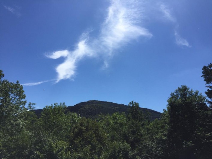 Location de vacances - Gîte à Bœrsch