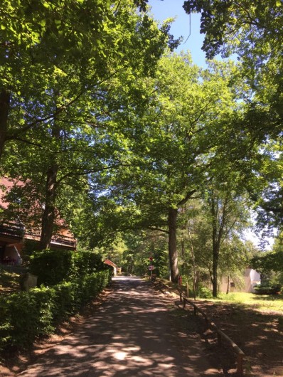 Location de vacances - Gîte à Bœrsch