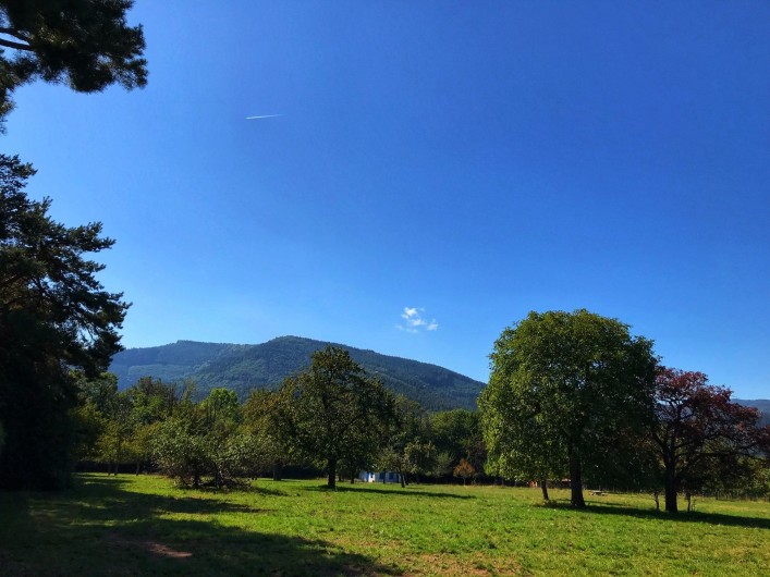 Location de vacances - Gîte à Bœrsch