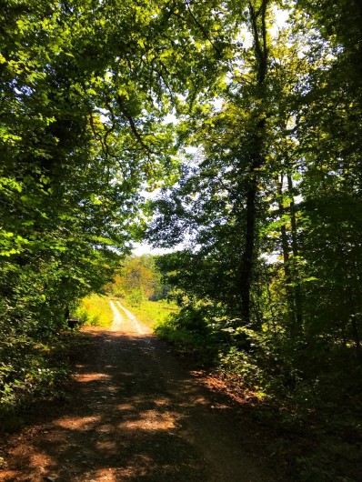 Location de vacances - Gîte à Bœrsch