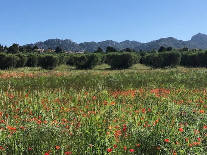 Location de vacances - Villa à Aureille - Alpilles