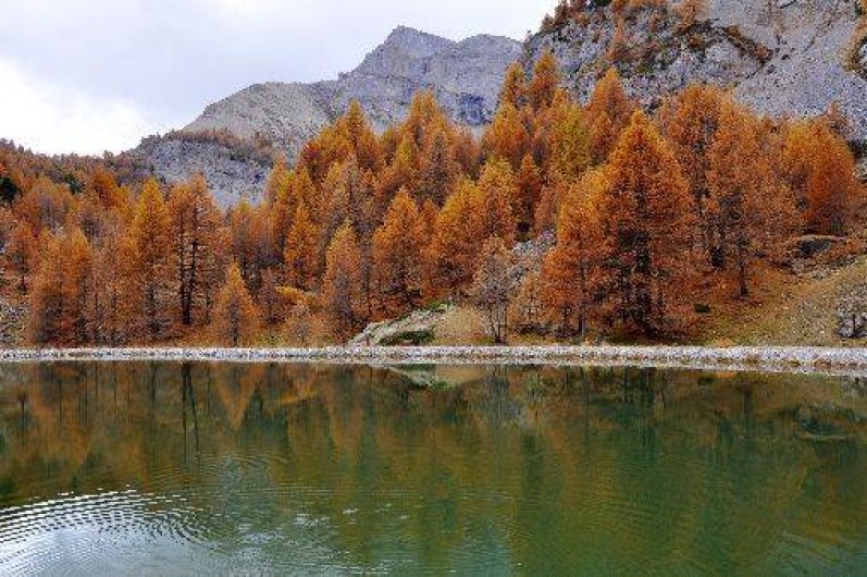 Location de vacances - Chalet à Arvieux