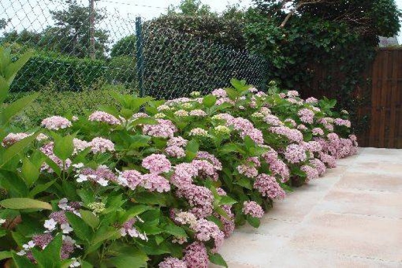 Location de vacances - Villa à Larmor-Plage