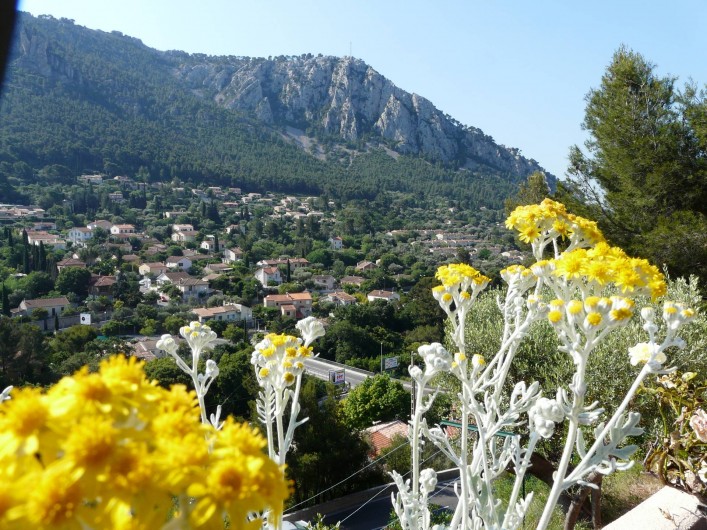 Location de vacances - Studio à Toulon