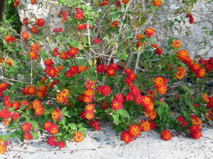 Location de vacances - Studio à Toulon
