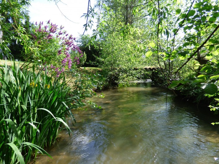 Location de vacances - Gîte à Nouart - ruisseau derrière le gîte