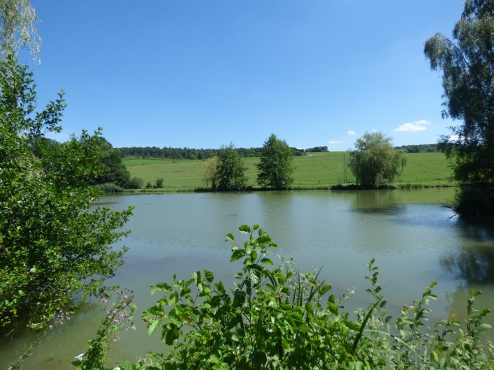 Location de vacances - Gîte à Nouart - Etang