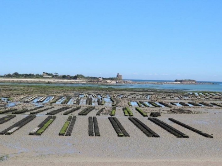 Location de vacances - Appartement à Saint-Vaast-la-Hougue