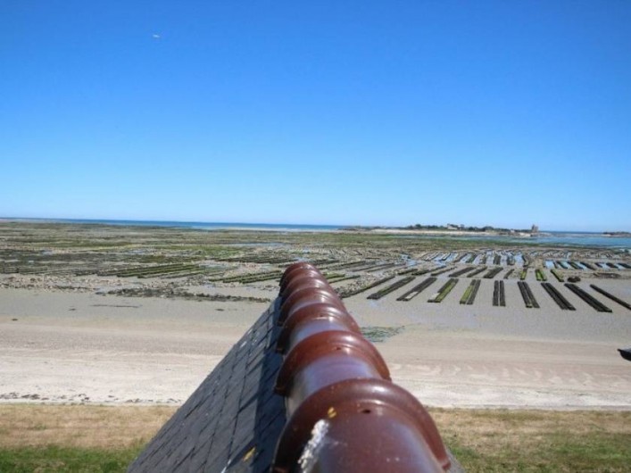Location de vacances - Appartement à Saint-Vaast-la-Hougue