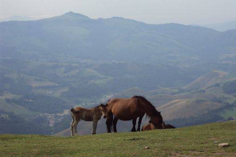 Location de vacances - Villa à Bidarray