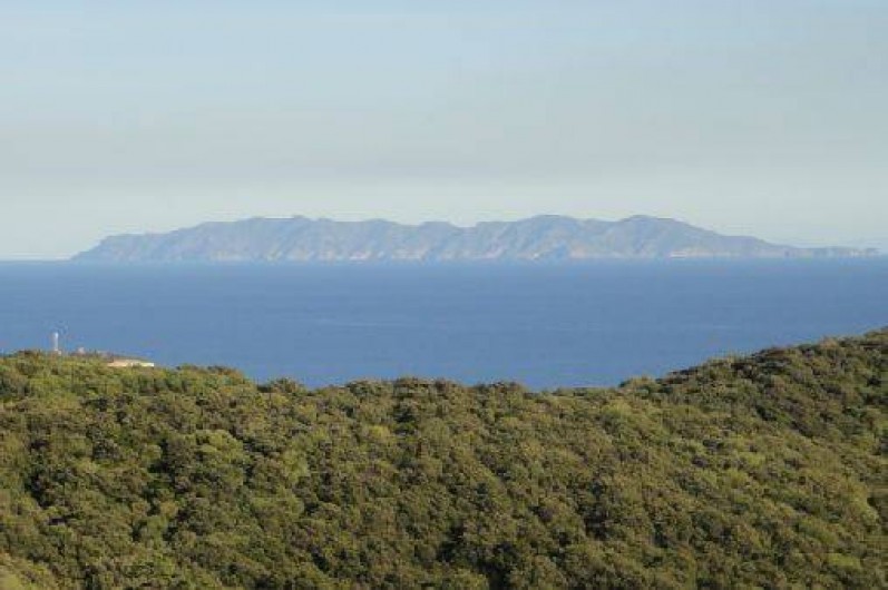 Location de vacances - Appartement à Rogliano