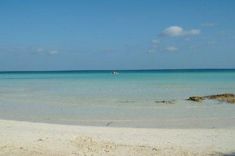 Location de vacances - Appartement à Rogliano