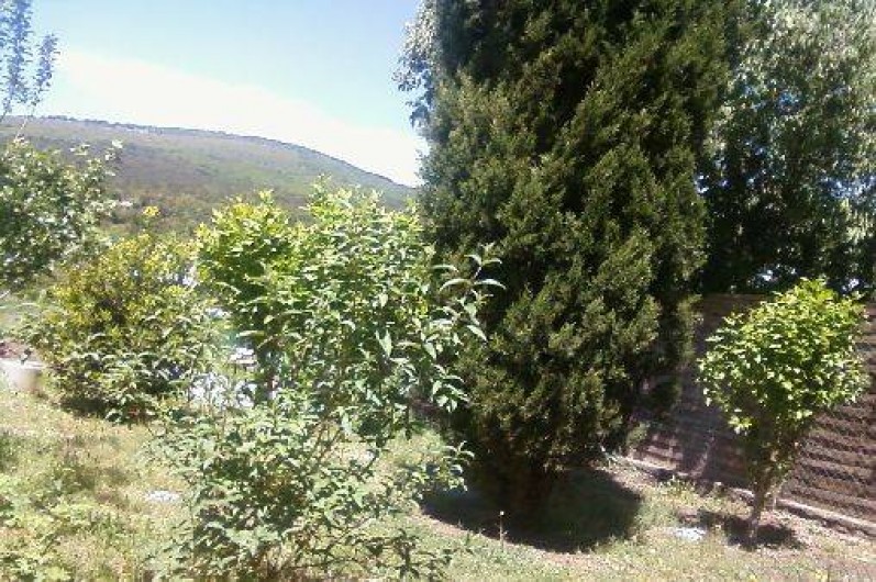 Location de vacances - Studio à La Tour-sur-Orb