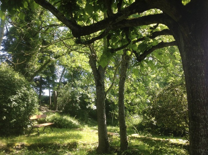 Location de vacances - Gîte à Saint-Georges-sur-Baulche - Banc, jardin