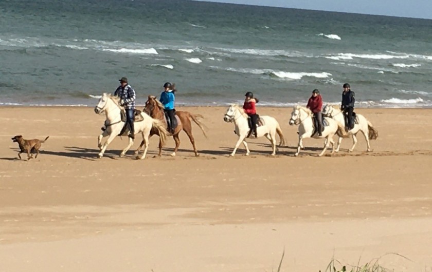 Location de vacances - Gîte à Saint-Laurent-sur-Mer