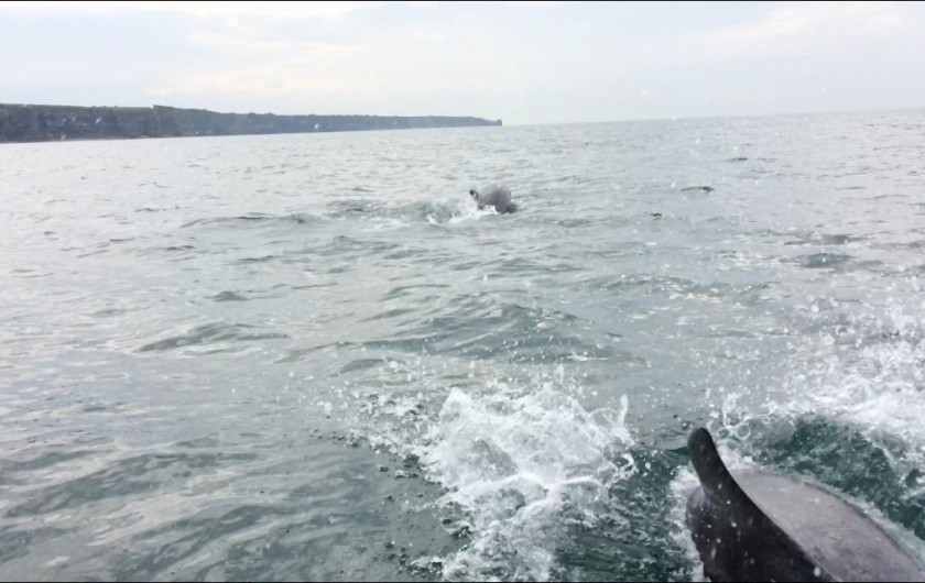 Location de vacances - Gîte à Saint-Laurent-sur-Mer