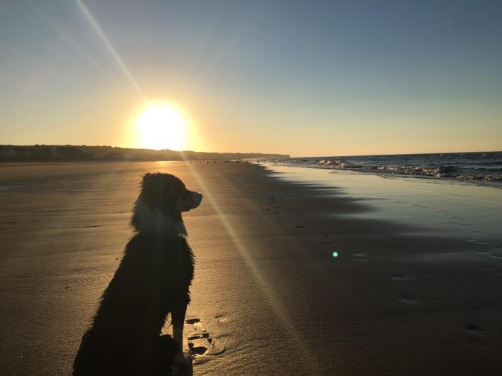 Location de vacances - Gîte à Saint-Laurent-sur-Mer