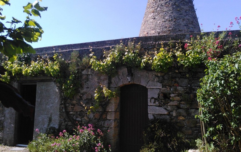 Location de vacances - Maison - Villa à Beaulieu-sur-Layon - Le moulin