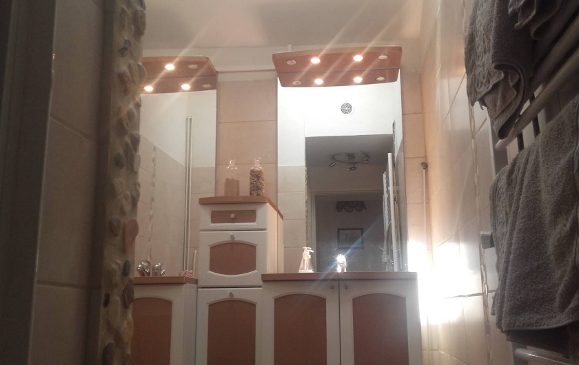 Location de vacances - Maison - Villa à Beaulieu-sur-Layon - La salle de bain