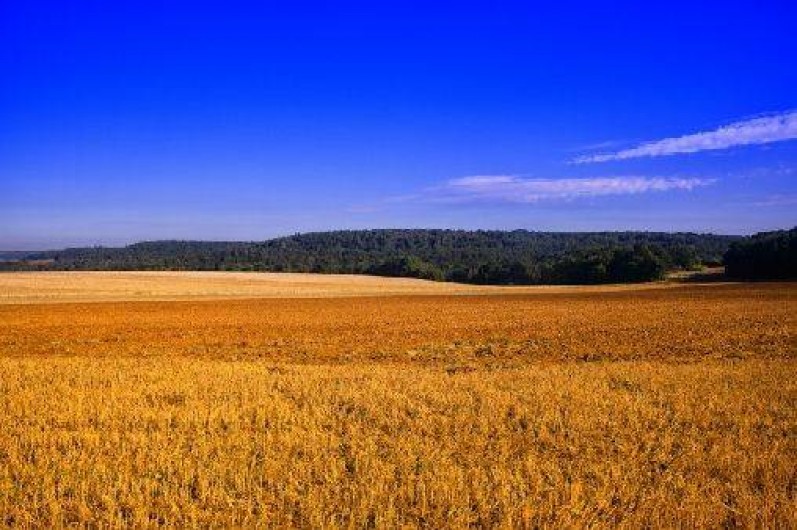 Location de vacances - Gîte à Saint-Aubin-de-Scellon