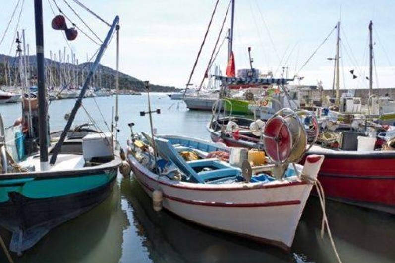 Location de vacances - Appartement à Carqueiranne - port Carqueiranne