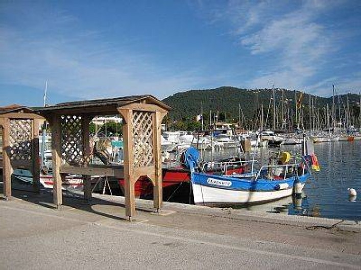 Location de vacances - Appartement à Carqueiranne - le port : "cabane " de vente des pêcheurs