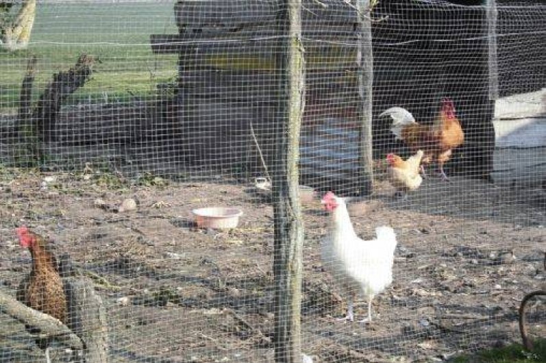 Location de vacances - Maison - Villa à Villentrois