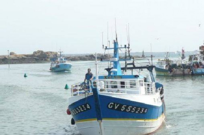 Location de vacances - Maison - Villa à Penmarch