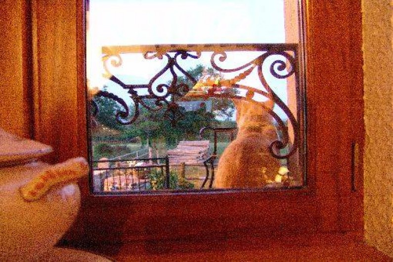 Location de vacances - Gîte à Teilhet