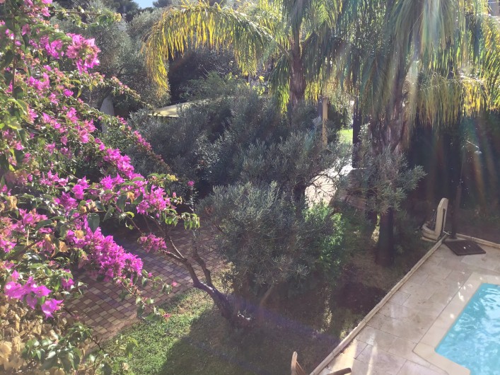 Location de vacances - Maison - Villa à Sanary-sur-Mer - Jardin