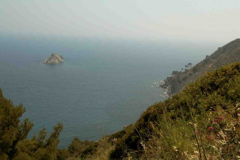 Location de vacances - Studio à La Seyne-sur-Mer