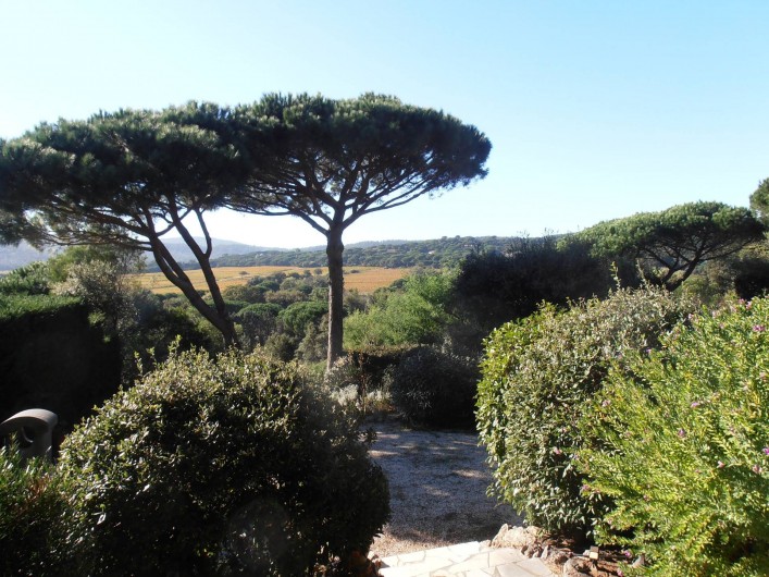 Location de vacances - Chambre d'hôtes à Ramatuelle - Vue Jardin et vignes