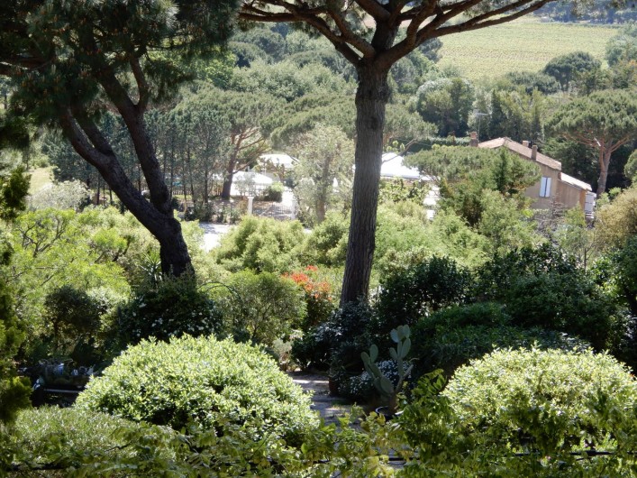 Location de vacances - Chambre d'hôtes à Ramatuelle - Jardin