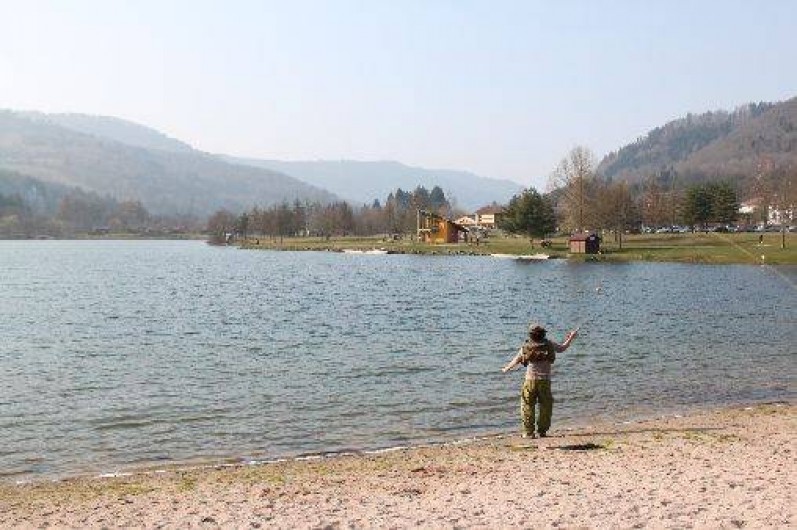 Location de vacances - Appartement à Cornimont