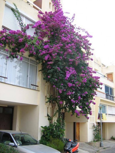 Location de vacances - Appartement à Tossa de Mar