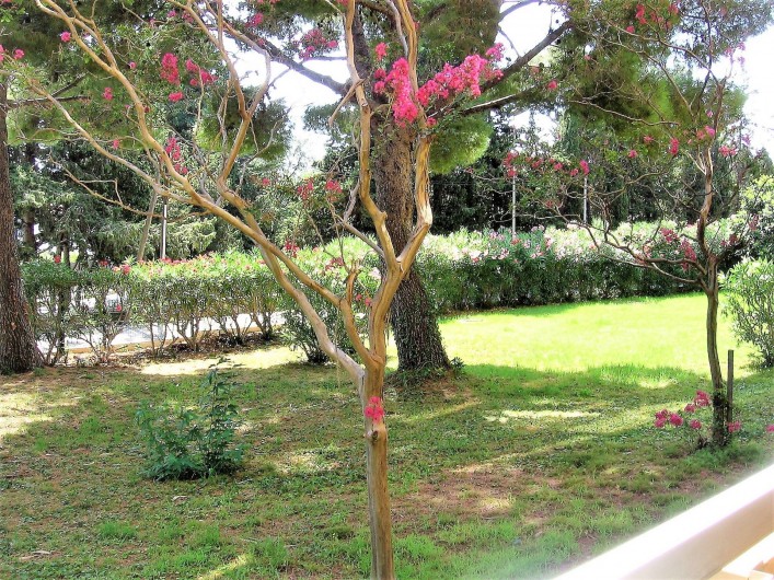 Location de vacances - Studio à Bormes-les-Mimosas - vue du balcon