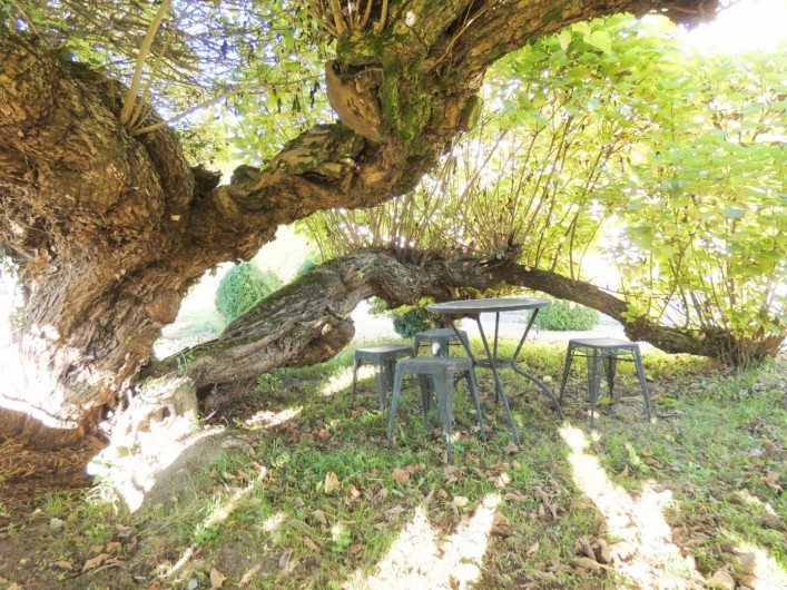 Location de vacances - Chambre d'hôtes à Lucbardez-et-Bargues