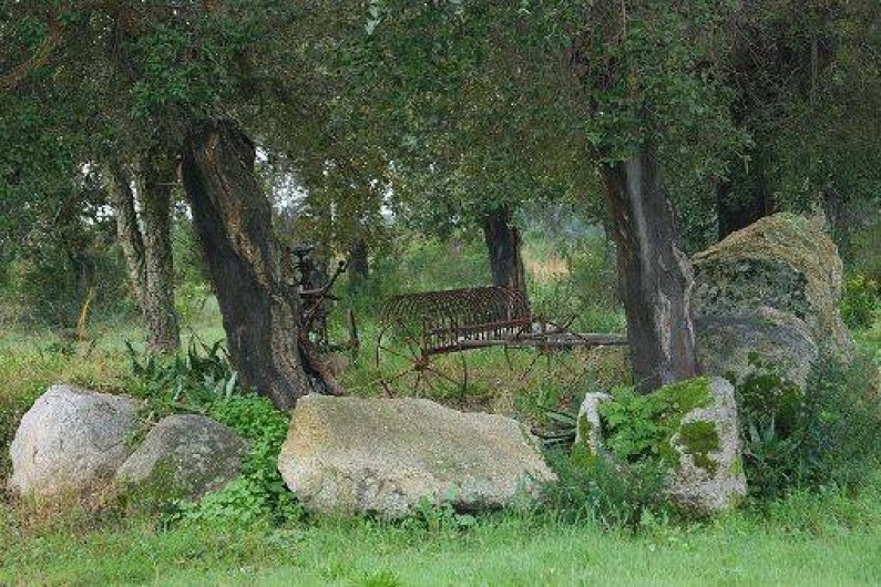 Location de vacances - Gîte à Porto-Vecchio