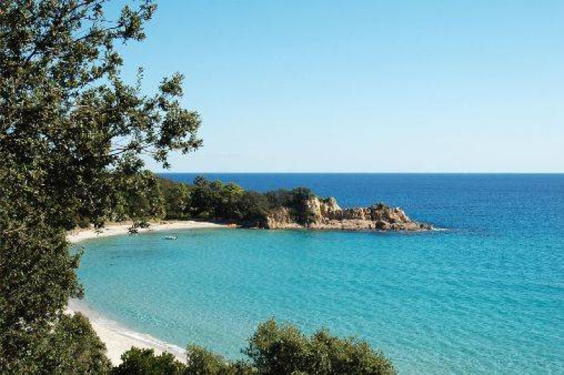 Location de vacances - Villa à Sainte-Lucie de Porto-Vecchio - Magnifique plage de sable proche de la résidence