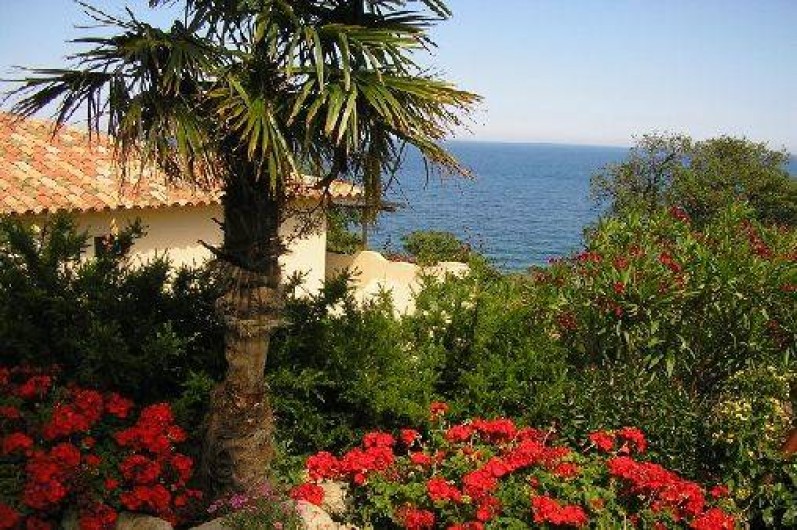 Location de vacances - Villa à Sainte-Lucie de Porto-Vecchio - villa arborée et fleurie jardin méditerranéen