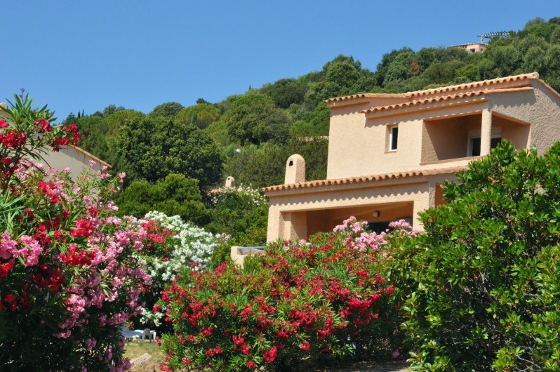 Location de vacances - Villa à Porto-Vecchio